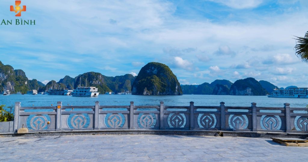 Số gọi xe cấp cứu hỗ trợ vận chuyển người bệnh Hạ Long